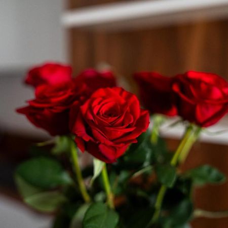 Big Apart - Atal Towers - 3 Rooms - Private Parking Place Breslavia Esterno foto